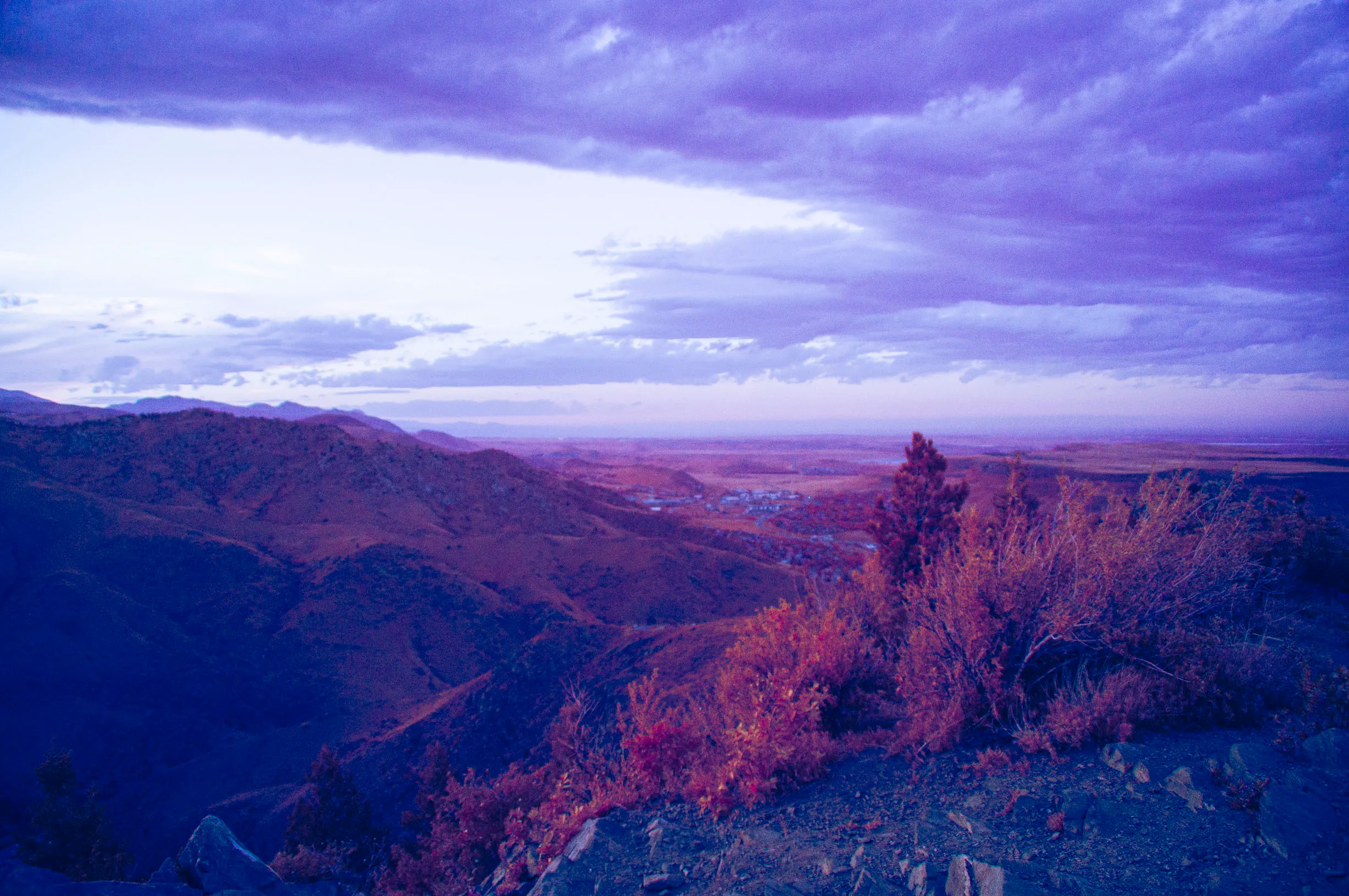 above lookout mountain